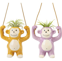 Två hängande aplantkrukor med växter