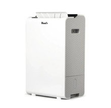 Wood's luftavfuktare