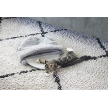 Katt ligger på en matta bredvid en kattsäng