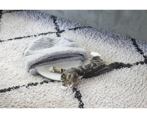 Katt ligger på en matta bredvid en kattsäng