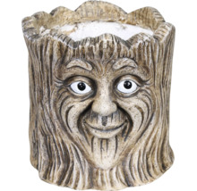 Blomkruka av gjuten sten med trädansikte