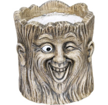 Blomkruka i form av ett trädansikte med ett flinande uttryck