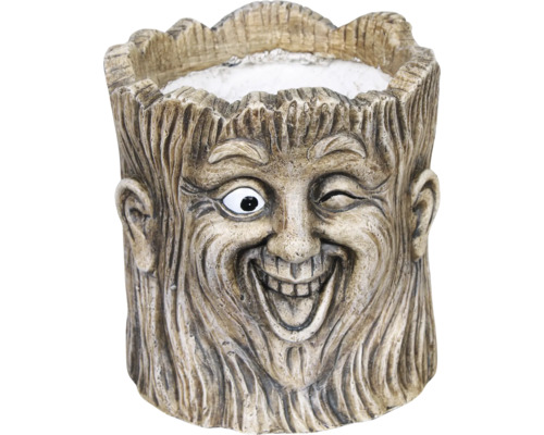 Kruka FLORASELF Rocky med trädansikte Ø18x20cm brun Blomkruka i form av ett trädansikte med ett flinande uttryck