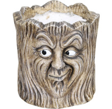 Blomkruka trädansikte design