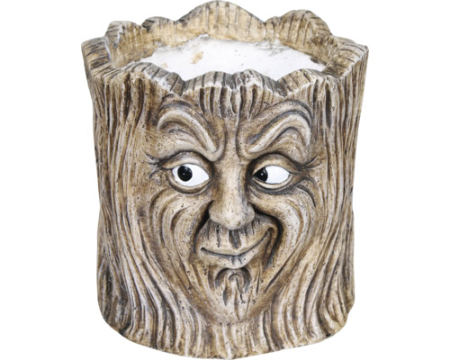 Blomkruka trädansikte design