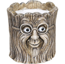 Blomkruka med ansikte och glasögon av konststen