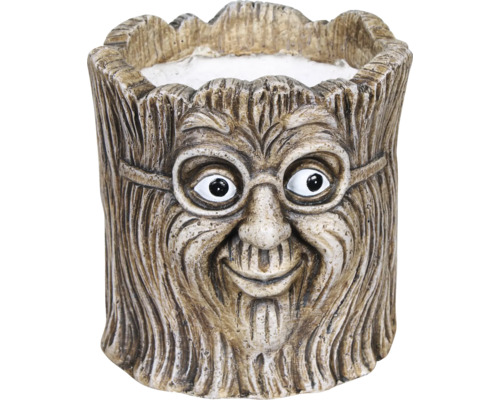 Kruka FLORASELF Erik med trädansikte Ø18x20cm brun Blomkruka med ansikte och glasögon av konststen