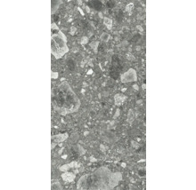 Grå klinkerplatta med sten dekor