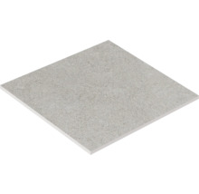 Enkel platta av stengods