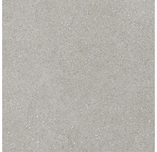 Klinkerplatta med spräcklig look