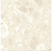 Beige golvplatta med terrazzo-utseende