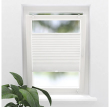 Fönster med vit plisségardin och krukväxt