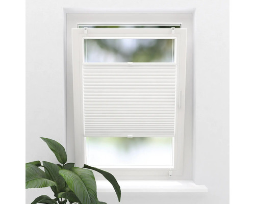 Fönster med vit plisségardin och krukväxt