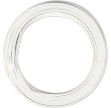 Plastremsa upprullad