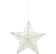 Julstjärna för upphängning