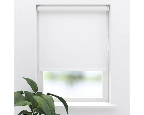 Vit rullgardin på fönster med sidokedjedrag