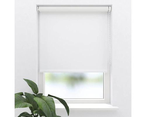 Fönster med vit rullgardin och kedjedrag