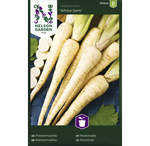 Fröpaket med palsternacka 'White Gem'
