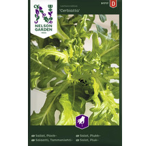 Nelson Garden Logo. Sallatsfrö Cerbiatta.