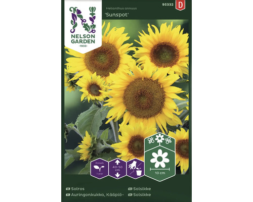 Solros Helianthus annuus 'Sunspot' fröförpackning