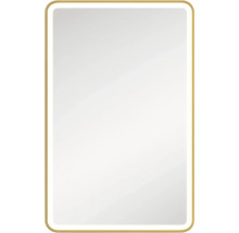 Rektangulär spegel med LED-belysning och gyllene ram