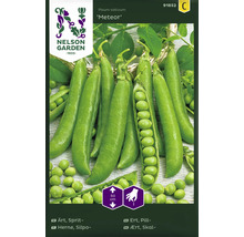 Nelson Garden ärtsfröer Meteor, sort Pisum sativum