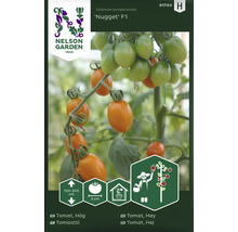 Nelson Garden Nugget F1 Tomatfrö