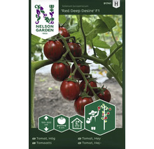 Nelson Garden logotyp. Bild av en tomatplanta av sorten Red Deep Desire F1 med röda frukter.