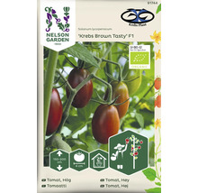 Nelson Garden Krebs Brown Tasty F1 tomatplanta