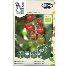 Tomatfrön Krebs Luna F1