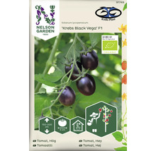 Fröförpackning Black Vega F1 tomat