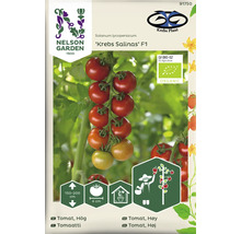 Nelson Garden Krebs Salinas F1 Tomatfröer förpackning
