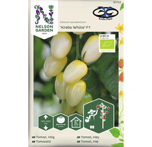 Tomatfrön Krebs White F1