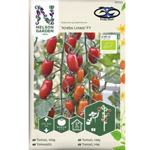 Tomatfrön av sorten Krebs Linea F1