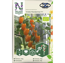 Tomatfrön Krebs Mandarina F1, höjd 150 till 200 cm