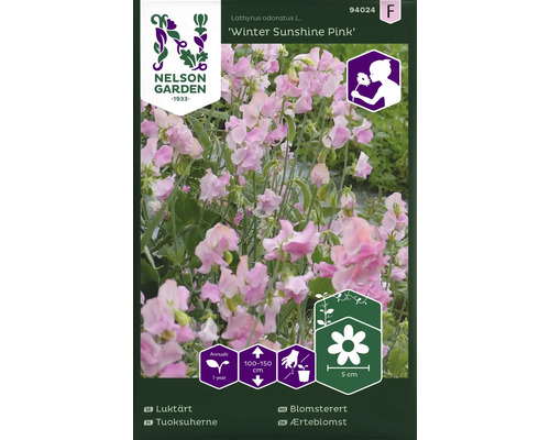Nelson Garden Logo. Förpackning Winter Sunshine Pink luktärt, ettårig växt, höjd 100 till 150 cm, blomstorlek 5 cm.
