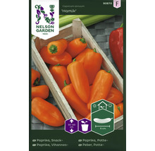 Nelson Garden Logo. Fröförpackning snackpaprika sort Hamik