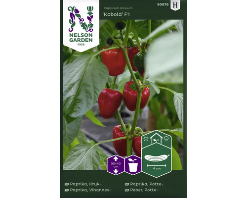 Paprika Kobold F1 planta