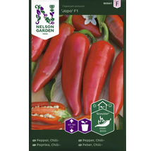 Fröförpackning för chili 'Japo' F1 från Nelson Garden