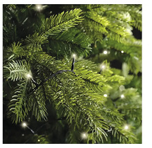 Närbild av en julgran med ljusslinga