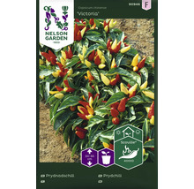 Förpackning med prydnadschili Victoria från Nelson Garden