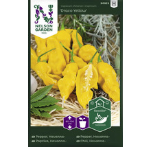 Fröförpackning Draco Yellow chili