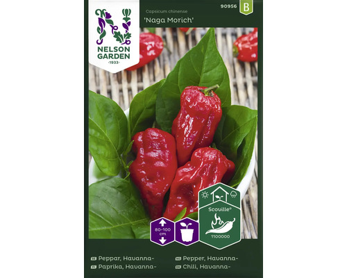 Fröpaket Naga Morich Chili