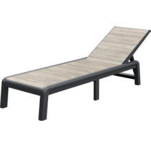 Trädgårdsliggstol med justerbart ryggstöd och ram