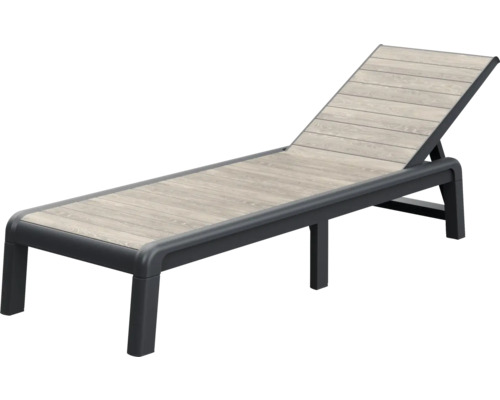 Trädgårdsliggstol med justerbart ryggstöd och ram