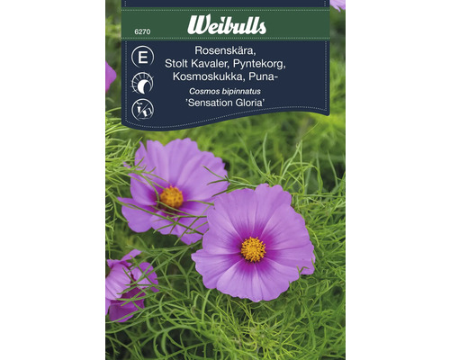 Fröförpackning Cosmos bipinnatus Sensation Gloria