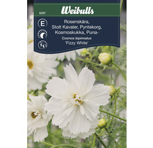 Weibulls Rosenskärafrö, Cosmos bipinnatus Fizzy White