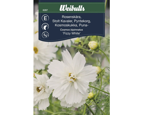Weibulls Rosenskärafrö, Cosmos bipinnatus Fizzy White