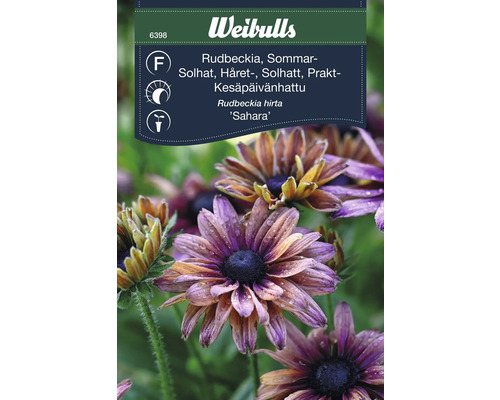 Fröförpackning Rudbeckia hirta Sahara
