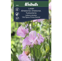 Weibulls Luktärt 'Old Spice Prima Donna' fröförpackning